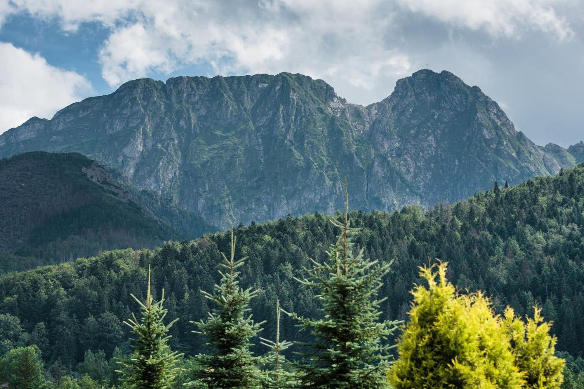 Rent Like Home - Skibowki Zakopane Exteriér fotografie
